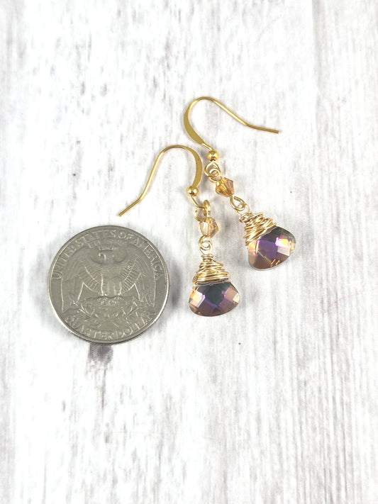 Gold Wire Wrapped Fancy Crystal Briolette Earrings