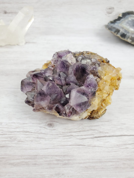 Phantom Amethyst Specimen Cluster