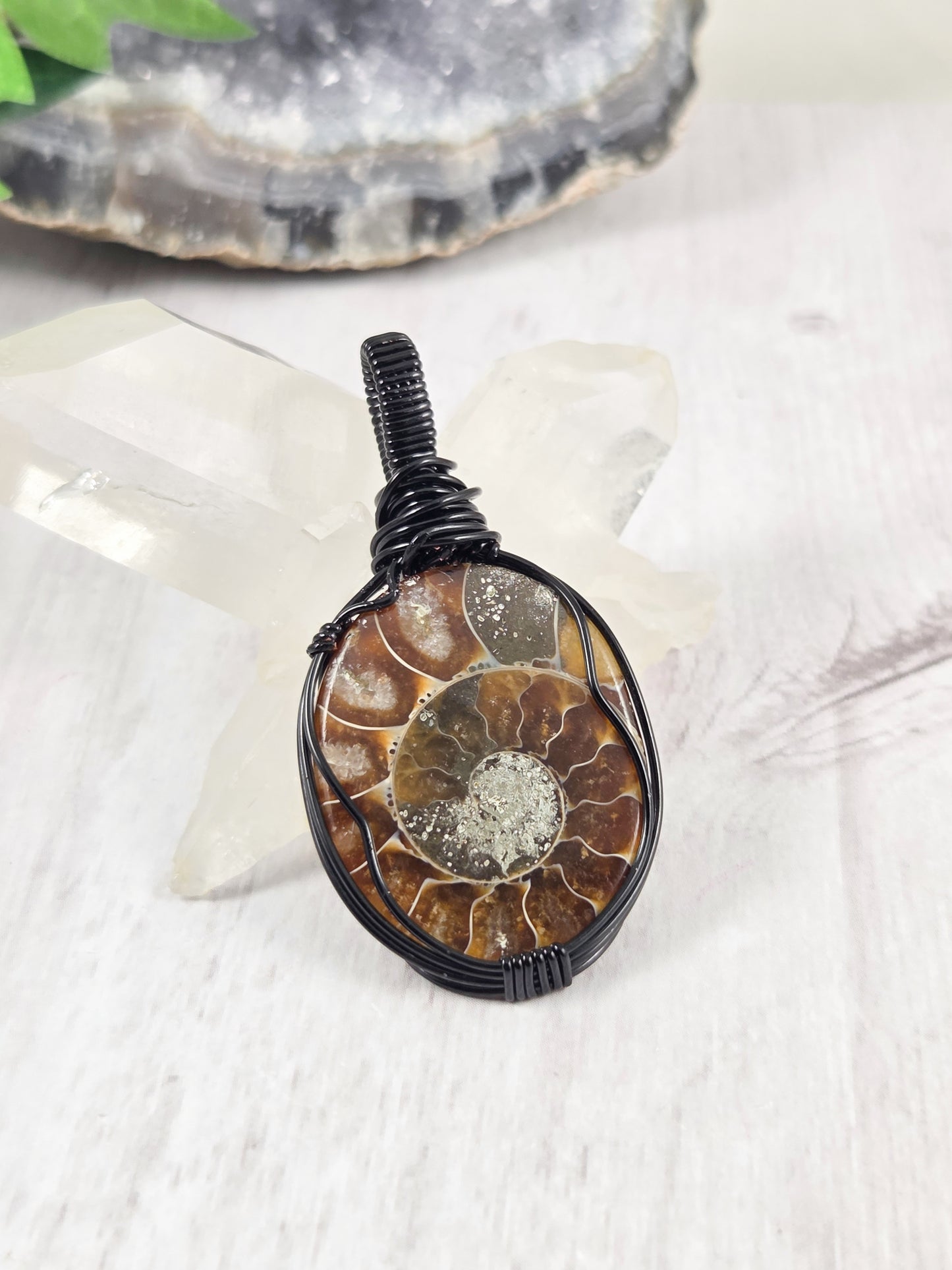 Gorgeous Ammonite Fossil Pendant