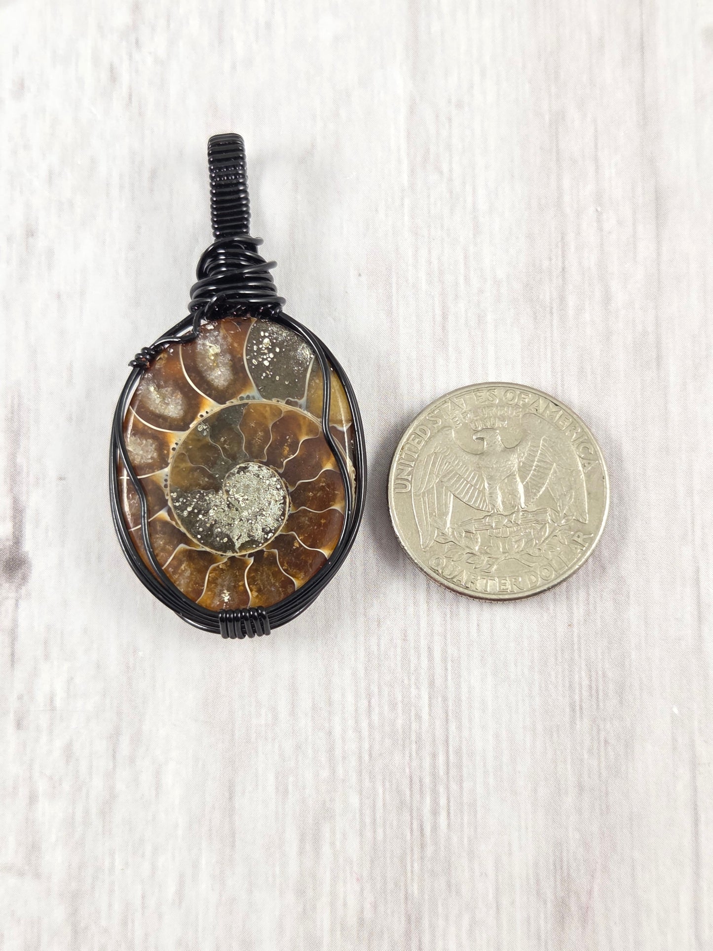 Gorgeous Ammonite Fossil Pendant