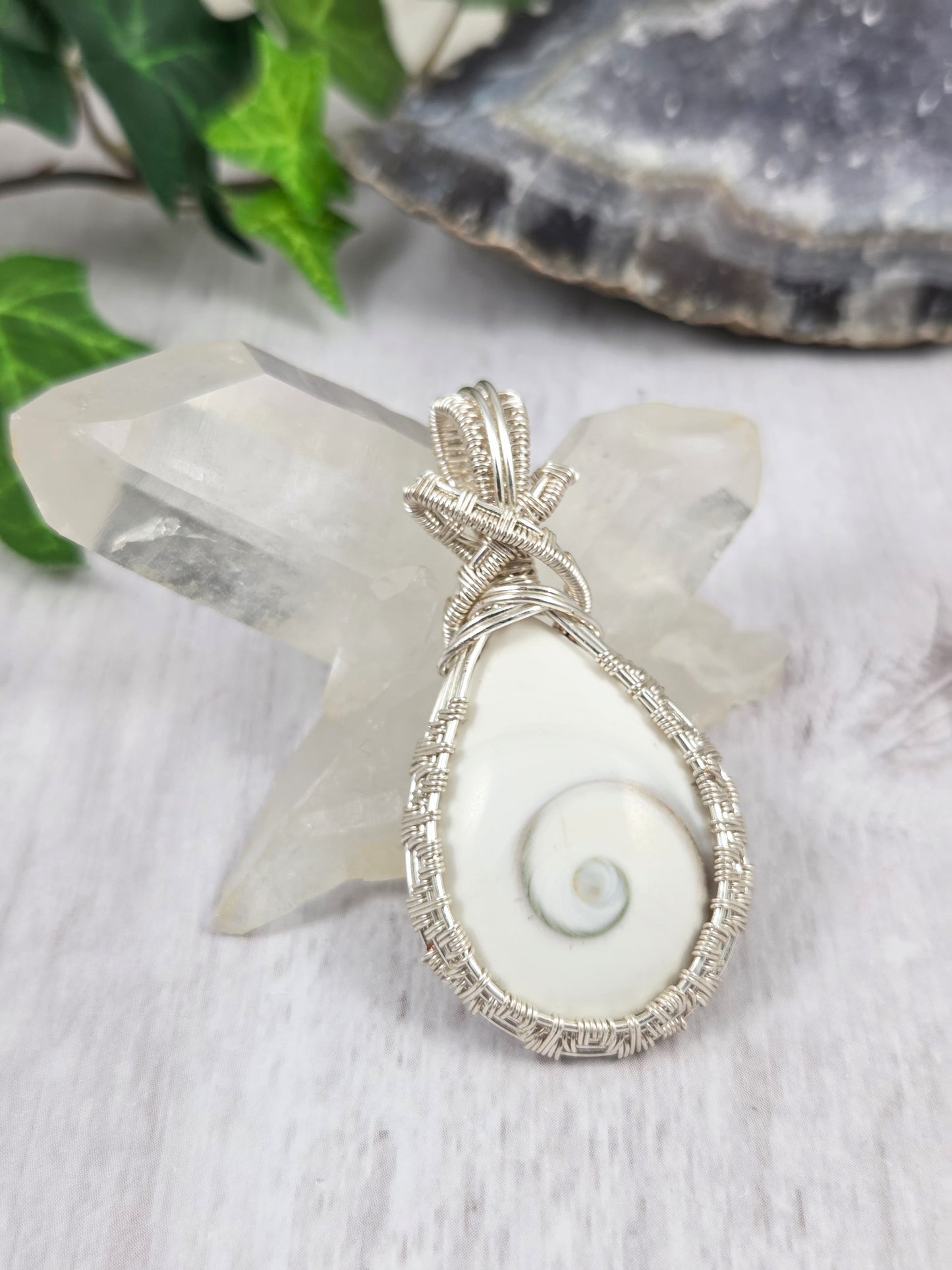 Wire Wrapped Shiva Eye Shell Teardrop Pendant