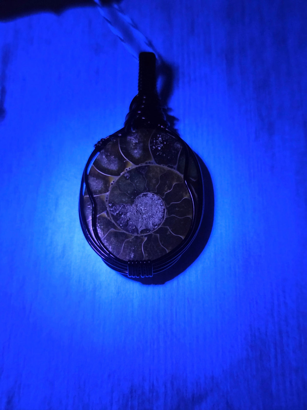 Gorgeous Ammonite Fossil Pendant