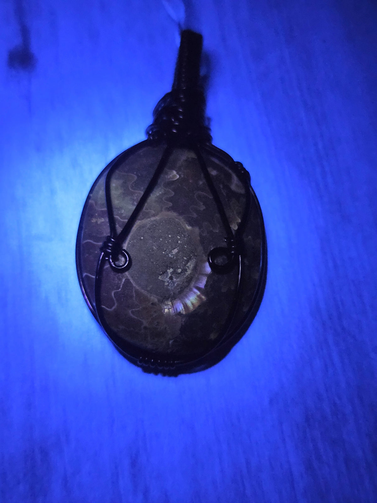 Gorgeous Ammonite Fossil Pendant