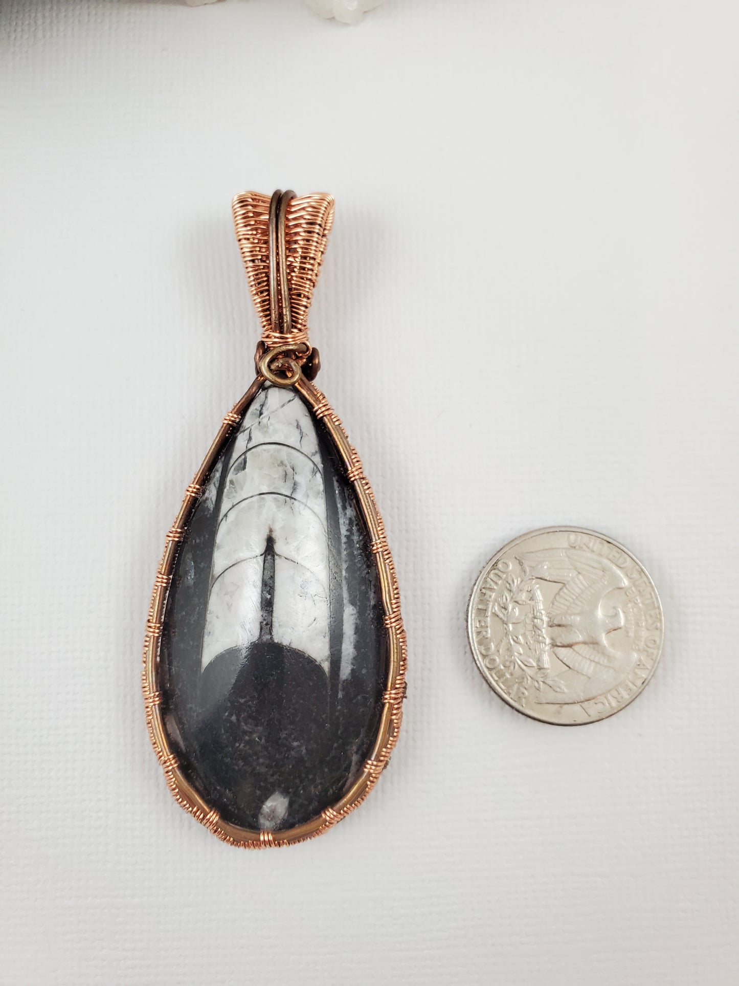 Large Orthoceras Fossil Pendant in Copper