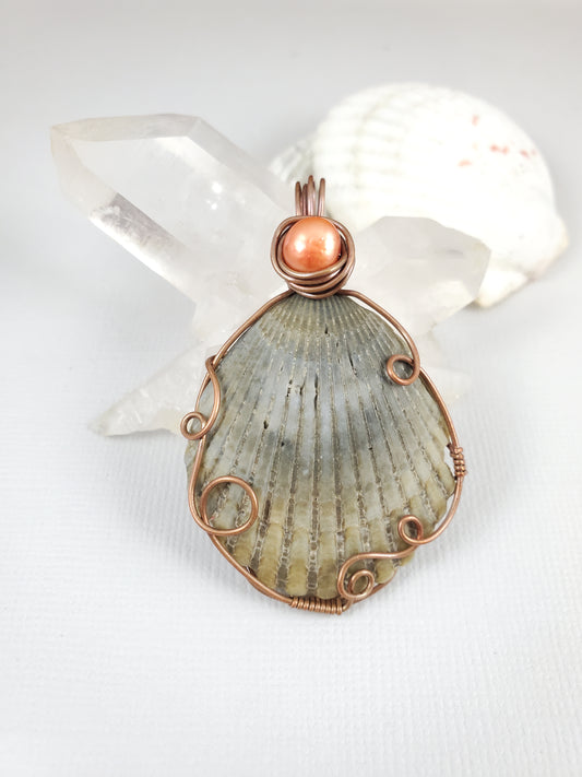 Natural Scallop Shell Pendant with Orange Freshwater Pearl